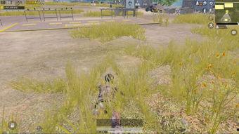 最新军需爆料10月